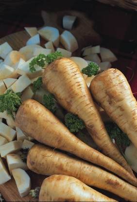 Picture of Parsnip Tender And True